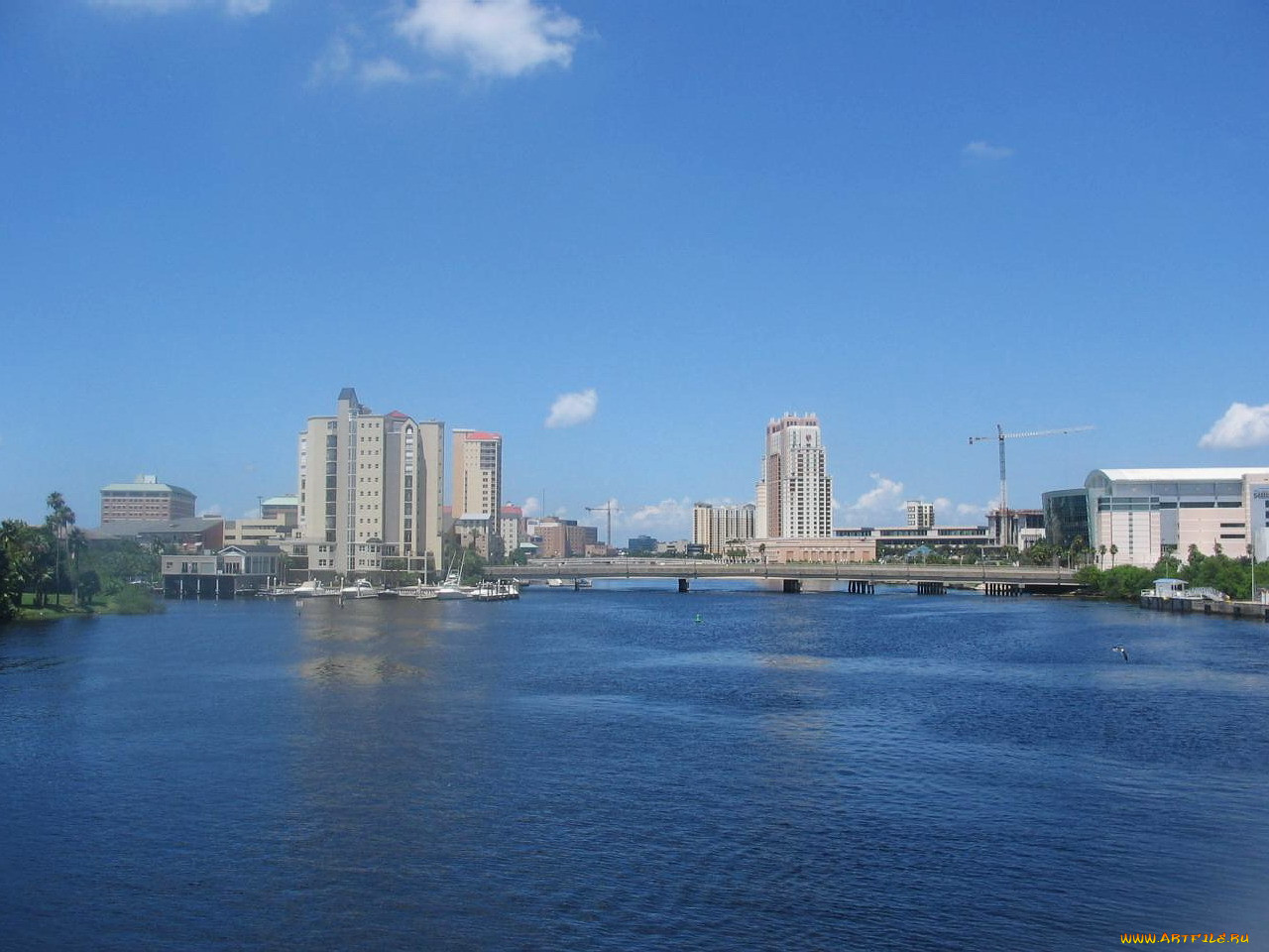 tampa, florida, , 